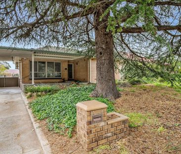 Live on Linear Park, a Short Walk to the O-Bahn! - Photo 6