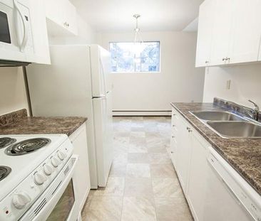 Springbank Gardens - Photo 3