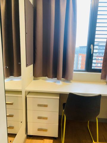 Classic Studio - Photo 5