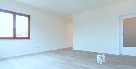 gz-i.de: Schicke 3 Zimmer PH Wohnung mit großem Balkon - Foto 3