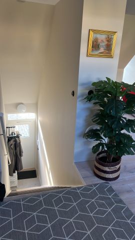 Bredgatan, Lund - Foto 3