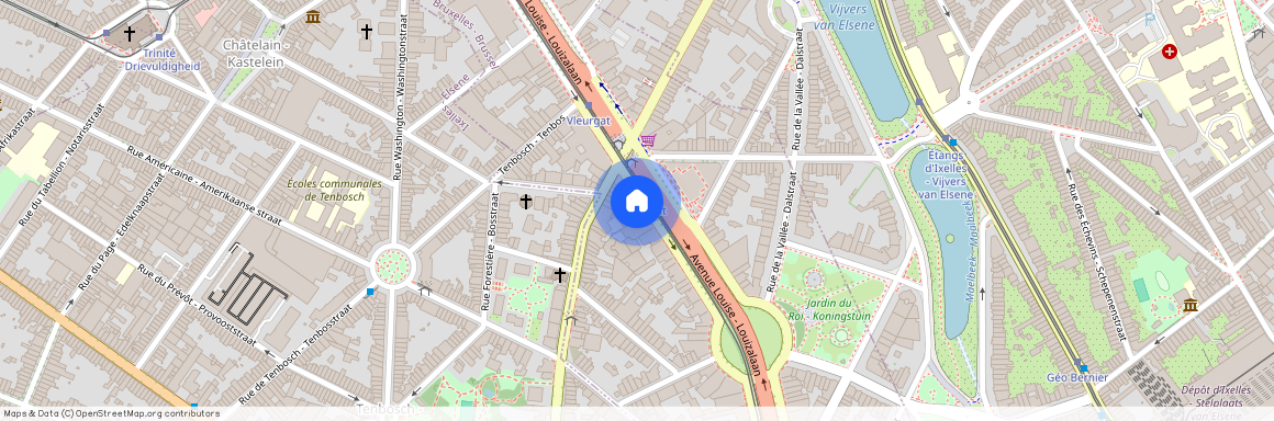 Avenue Louise - Louizalaan, 317, 1050, Bruxelles