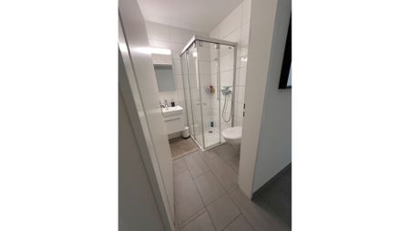 3½ Zimmer-Wohnung in Thun (BE), möbliert, auf Zeit - Photo 5