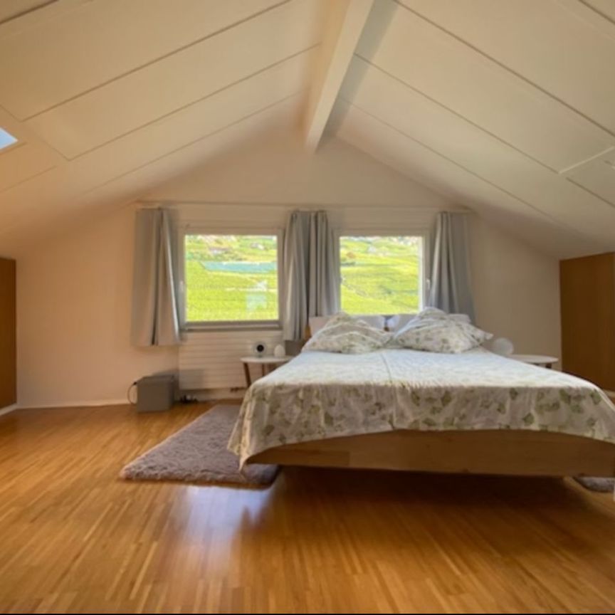 Splendid luxury apartment in Grandvaux with lake view - Foto 1