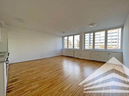 Ruhige 1 Zimmerwohnung mit Küche in der Innenstadt - Nähe Landstraße - Photo 3