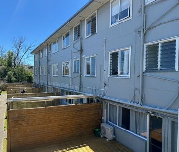 Renovated Unit - Photo 4