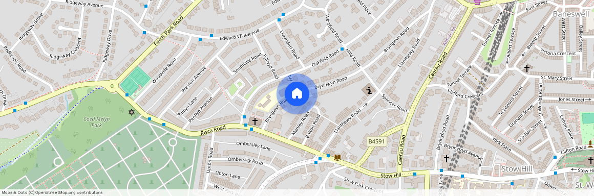 Cwrt Maes Y Llyn, Newport, Newport. NP20 4AF