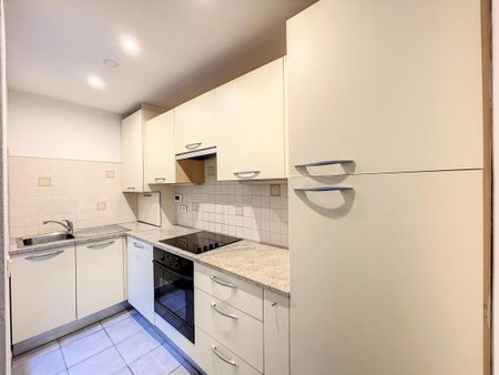Etangs d'Ixelles : Ground floor 1 bedroom + terrace & garden - Photo 5