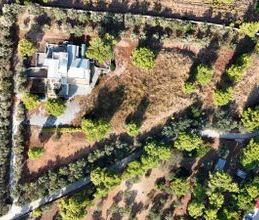Μονοκατοικία για ενοικίαση - Ραφήνα, - Φωτογραφία 2