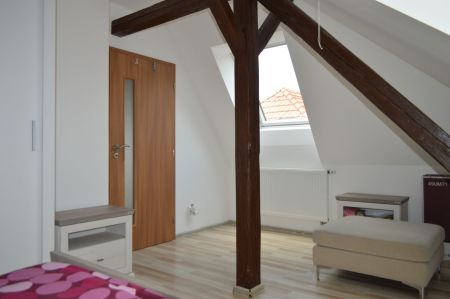 Pronájem bytu 2+kk • 60 m² bez realitkyU Zoologické zahrady, Brno - Bystrc, Jihomoravský kraj - Photo 4