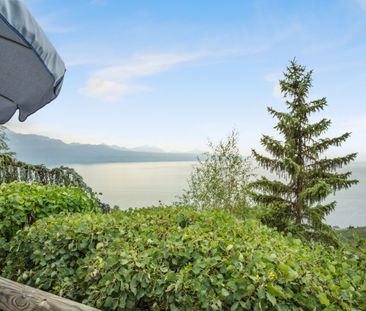 Detached villa with panoramic view of Lake Geneva – Lavaux - Foto 2