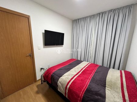 Apartamento com 2 quartos e 44m² para alugar em Jansen, Gravataí. - Photo 4