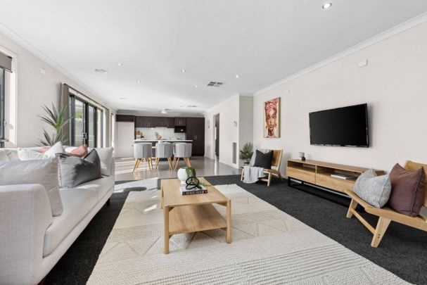 Stylish Single Level Sanctuary - Photo 1