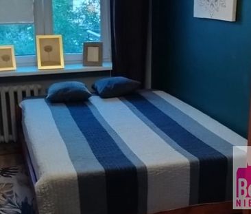 Włocławek, Południe Mieszkanie na wynajem - Zdjęcie 5