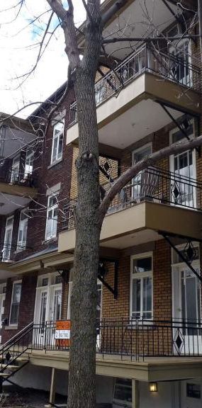 1 CH - 1 SDB - Québec - $839 /mo - Photo 1