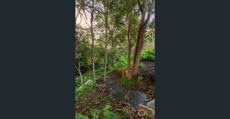 Open the Door to Creekside Calm and Hills Convenience - Photo 2