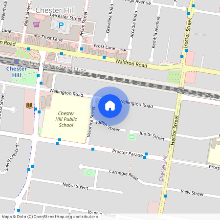 225 Wellington Rd, NSW 2162, Chester Hill