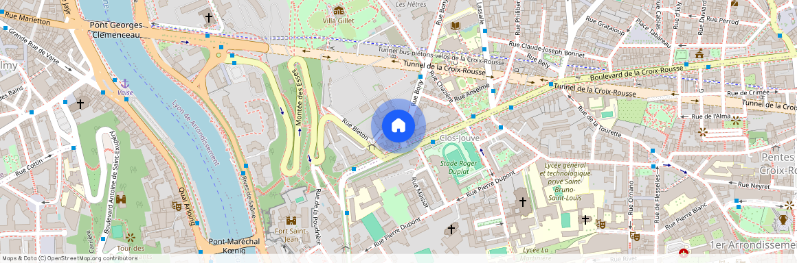 5 RUE ROUSSY, LYON 4EME ARRONDISSEMENT Bony Bonnet