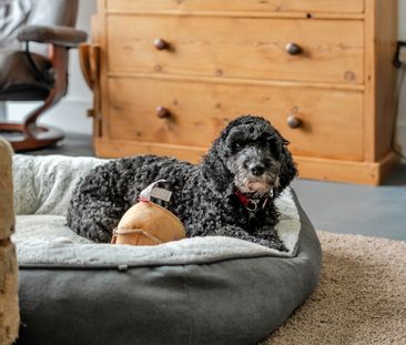 3 bedroom house to rent - Photo 1