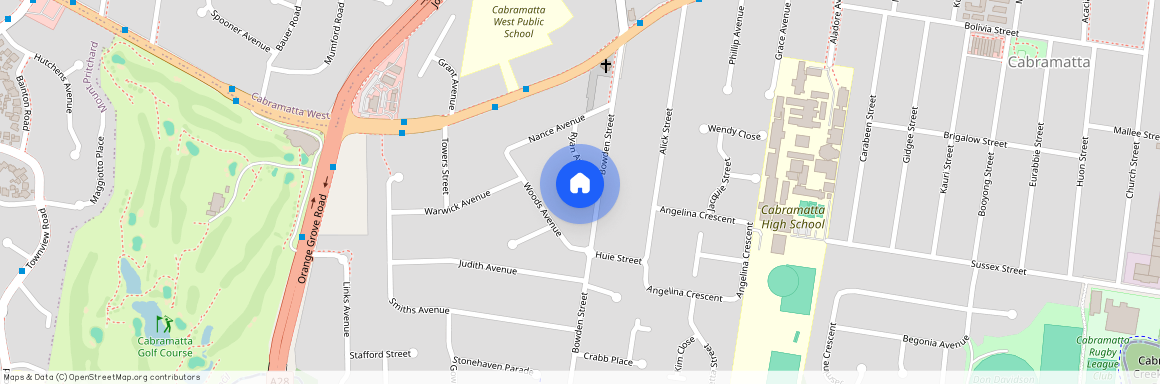 17 Ryan Avenue, NSW 2166, Cabramatta