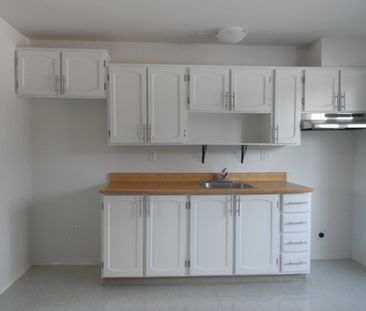 Le 2020 Castelneau, St-Hyacinthe - Photo 2