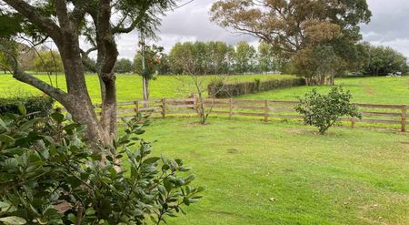 Knights @ Karaka North! - Photo 2