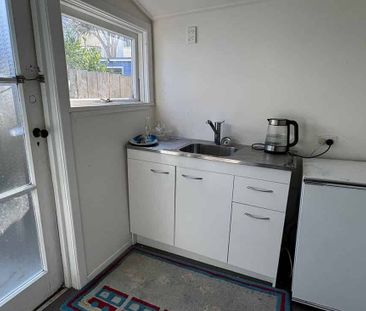 Large bedroom with kitchen in Mt Vic - Photo 4