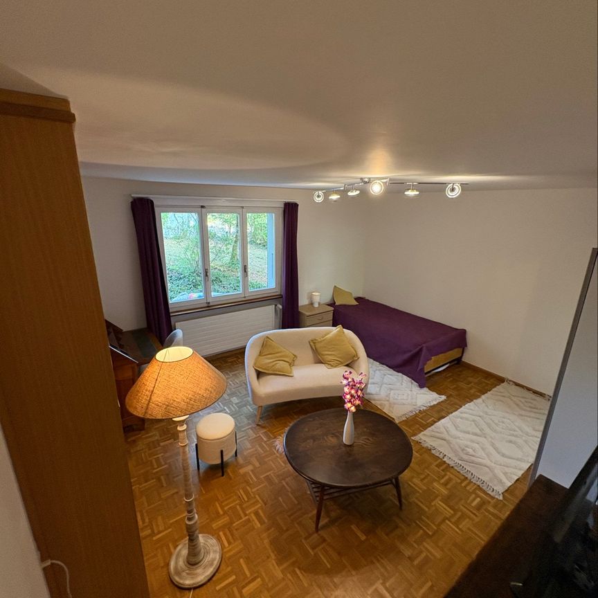 Location d'un appartement 1.5 pièces meublé à Neuchâtel - Photo 1