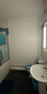 Location Appartement 1 pièce 26m² REIMS 51100 - Photo 3