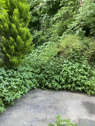 Location Appartement 1 pièce 21m² ST AVERTIN 37550 - Photo 5