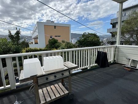 Large Sunny 2 bedroom apartment in Mt Vic - Photo 5