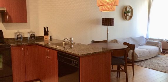 Condo 3 1/2 Meublé,éclairé à Louer - Photo 2