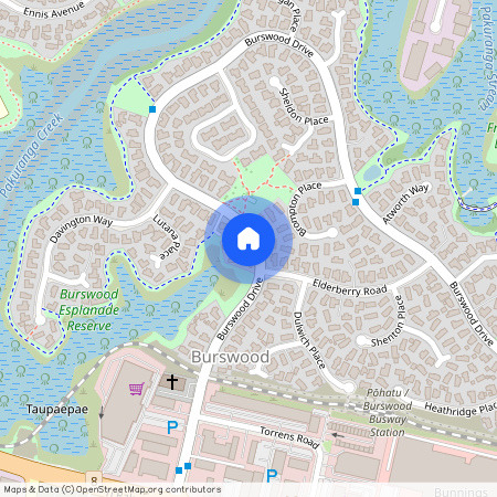 183 Drive, Manukau City, Burswood