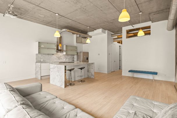 4225 Rue St-Dominique, #310 - Photo 1