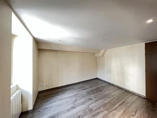 Location Appartement 1 pièce 17m² CLERMONT FERRAND 63000 - Photo 1