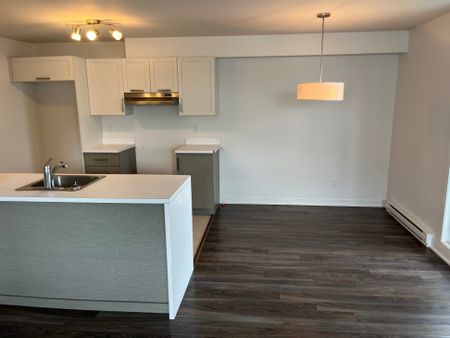 Appartement à louer - Saint-Jérôme (Lafontaine) - Photo 3