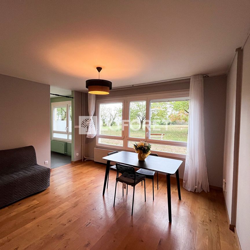 Appartement T3 OULLINS PIERRE BENITE à louer - Photo 1