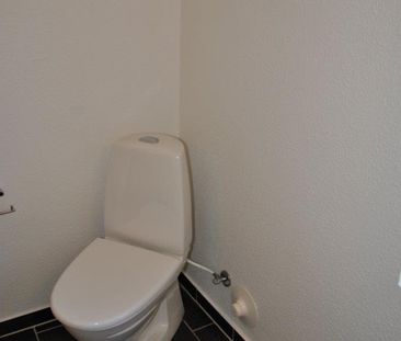Dumpen - Photo 4