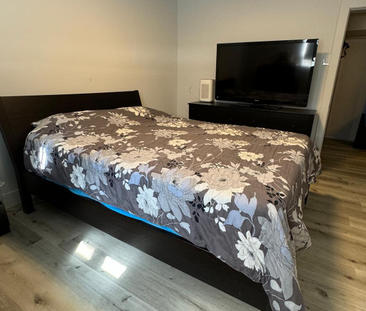 For Lease - 254 Hillside Drive Unit# Bsmt, Mississauga, Ontario - Photo 2