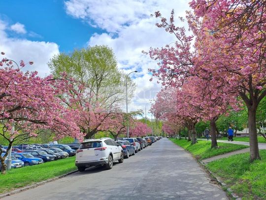 Pronájem bytu 1+kk 24 m2 - Photo 1