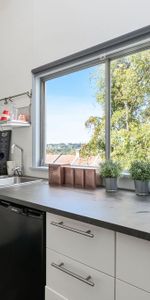 4/70 Surrey Street, Darlinghurst NSW 2010 - Studio For Rent | Domain - Photo 4