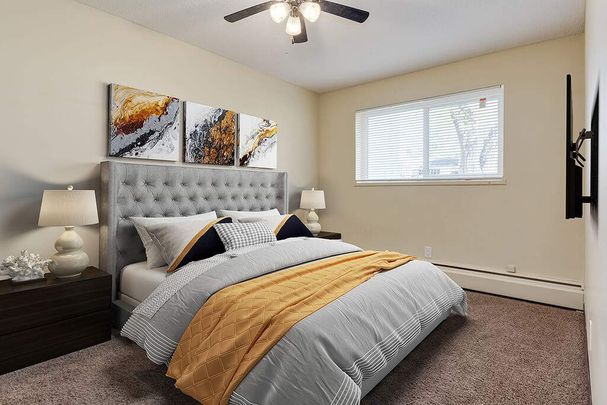 Renovated Suite - 2 Bedroom - Photo 1
