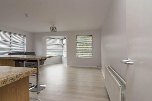 Apt 1, 43 Sandhurst Drive, Belfast, BT9 5AY - Photo 1