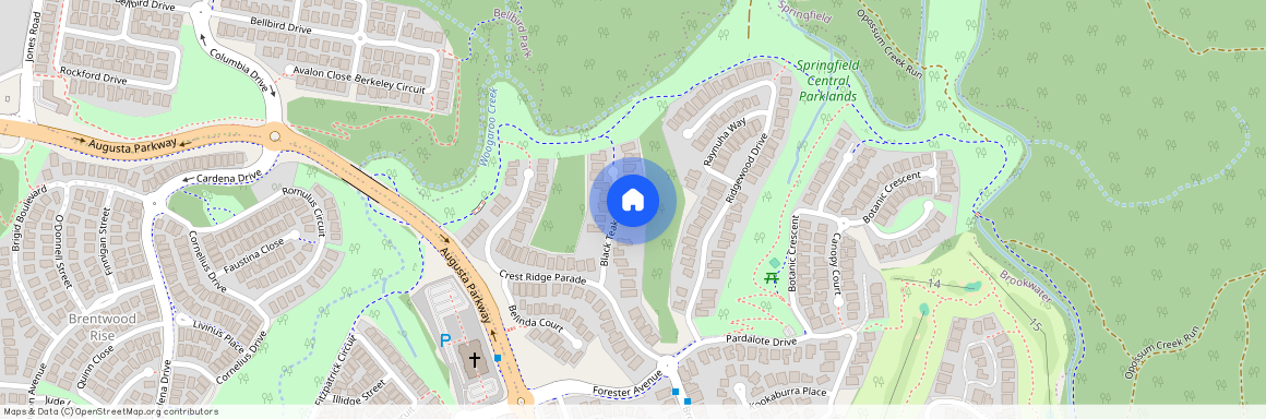 11 Black Teak Ct, Brookwater QLD 4300