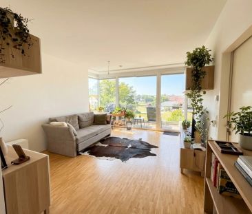 Blick ins Grüne - 3 Zimmer Wohnung mit Küche in Linz - Photo 3