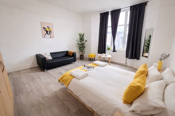 4 Bed Flat, Hyde Park Mansions, NW1 - Photo 1