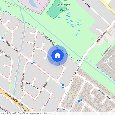 46 Brier Crescent, Quakers Hill NSW 2763