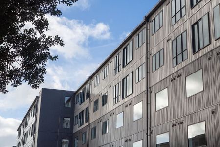 Sunny, modern & pet friendly - Photo 5