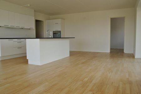 Møgelparken - Photo 2