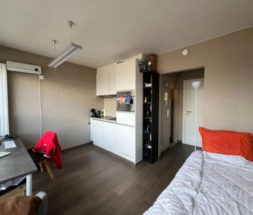 Lichtrijke, gerenoveerde studio met terras te huur in Leuven - Photo 4
